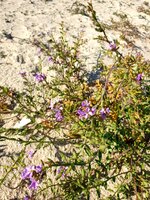 20220127_144628.jpg