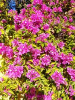 20220127_145831.jpg