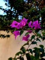 20220127_145901.jpg