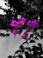 20220127_145901.jpg