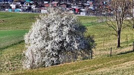 20.03.22  (48).jpg