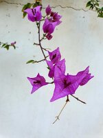 20220127_145913.jpg