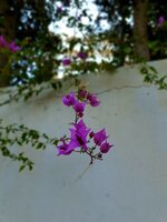 20220127_145931.jpg