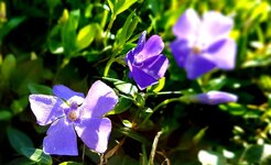20220306_160425.jpg