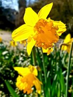 20220306_160341.jpg
