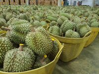 durian.jpg