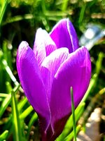 20220306_160144.jpg