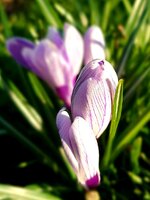 20220310_103428.jpg