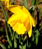 20220310_103255.jpg