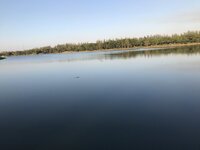 2DA9DDAF-DD5A-47A6-B603-47367F29686A.jpeg
