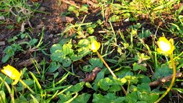 20220328_103719.jpg