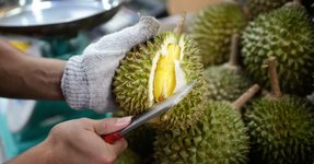 durian.jpeg