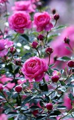 FB_IMG_1653756349609.jpg