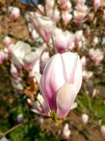 20220326_084425.jpg