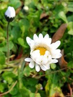 20220326_084726.jpg