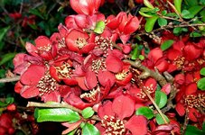 20220329_101841.jpg