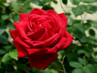 DSC_0611.JPG