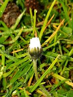 20220328_103956.jpg
