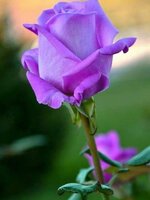 FB_IMG_1655364245208.jpg