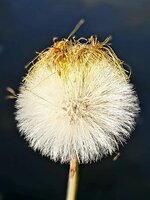 20220412_135516.jpg