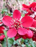 20220329_101951.jpg