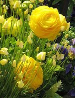 FB_IMG_1655401214933.jpg