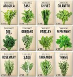 thyme vs basil.jpg