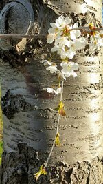 20220412_140001.jpg