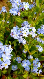 20220504_112644.jpg