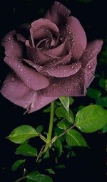 FB_IMG_1655795725538.jpg