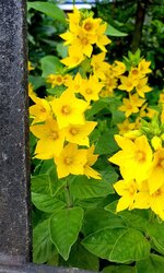 20220613_120328.jpg