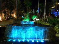 P1010689.JPG