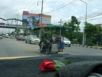 01020031.JPG 01020031.JPG