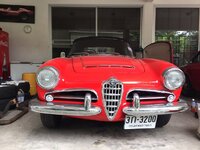 Giulia Spider 3.jpg