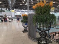 IMG_20220923_075609.jpg