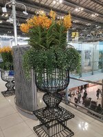 IMG_20220923_075615.jpg