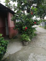 IMG_20220925_133154.jpg
