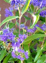 20220923_230609.jpg