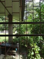 IMG_20221008_095034.jpg