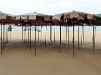 IMG_20221016_082925.jpg