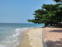 IMG_20221017_112731.jpg