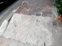 IMG_20221018_172736.jpg