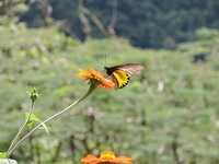 DSCN0168.JPG