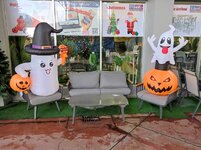 IMG_20221023_090209.jpg