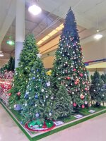 IMG_20221023_090244.jpg