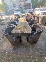 IMG_20221024_081925.jpg