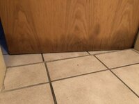 1669706788133.jpeg