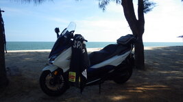 RIMG0105.JPG RIMG0105.JPG