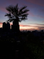 20221213_061803.jpg