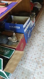 20221214_215253.jpg
